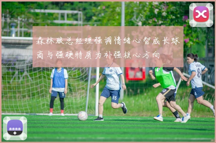 森林狼总经理强调情绪心智成长球商与强硬特质为补强核心方向